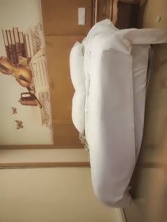 日本涩涩网