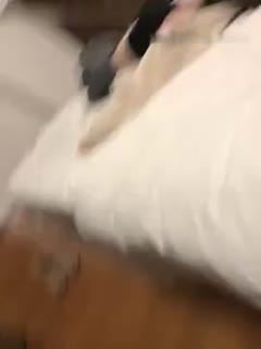 极品粉嫩丰满美女无套
