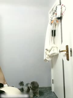 t66y地址一地址二