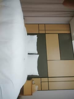 8x8海外华人