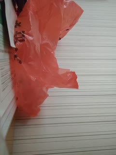 双性精h调教灌尿打屁股的文案