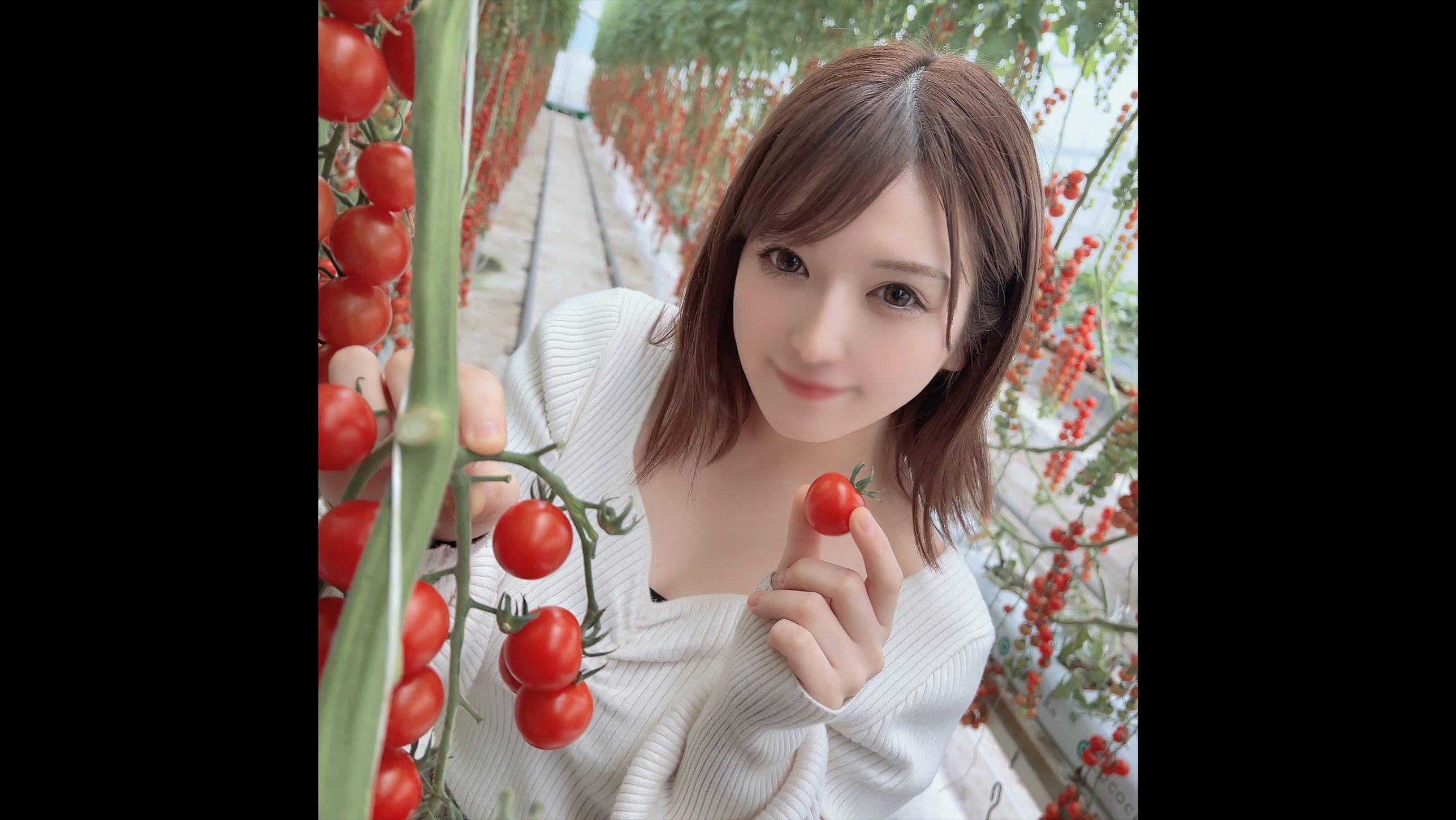 免费一级片免费