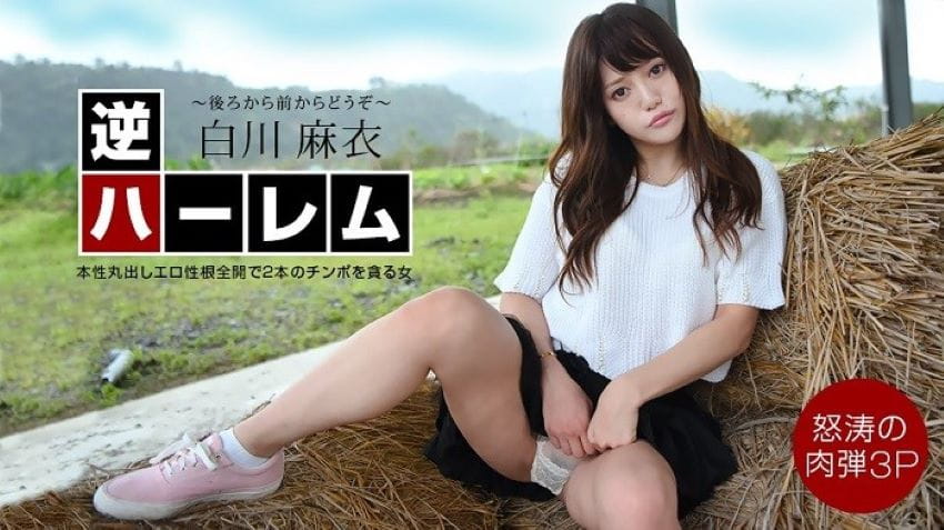 成人动漫一区