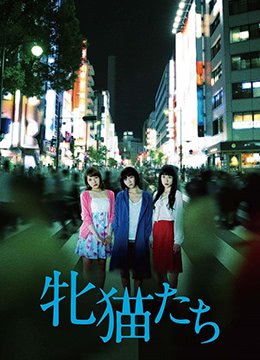 撒尿free性hd