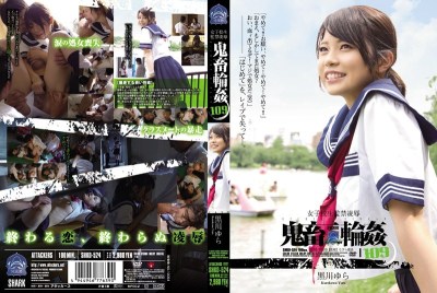 红楼遗梦迷男未删减全本小说