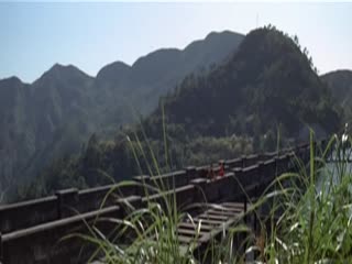 八级黄色片