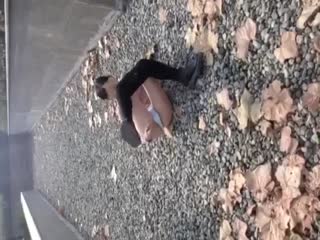 秋霞免费伦理网
