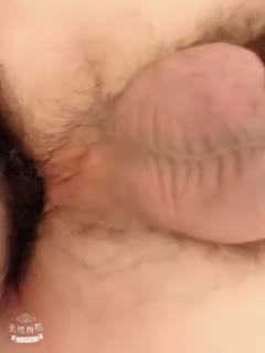 真人男女啪啪啪免费视频