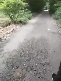三妹电视剧全集免费观看