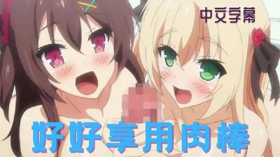 河北彩花