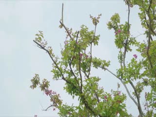 石原莉奈一区二区三区