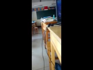 日本sm/羞辱/调教/捆绑视频-清晰免费