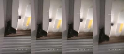 台湾三级片污片在线观看