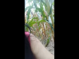 色噜噜熟女无码av