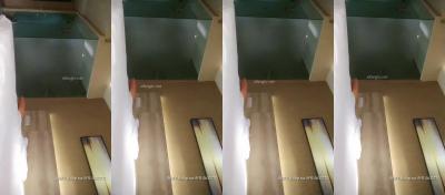 男女十屄XX00免费视频