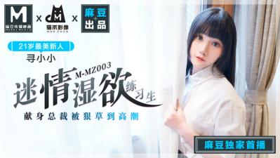 欧美日韩老太无码视频