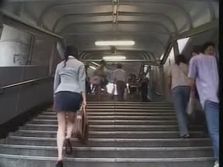 花房姑娘免费观看全集电视剧高清