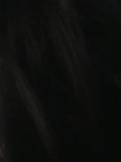 含羞草视频