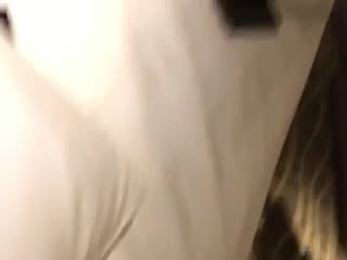 元旦放假怎么安排