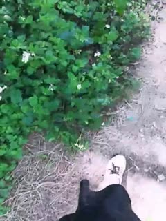 窦骁主演的电视剧全部