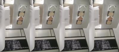 free性满足HD老少配张柏芝