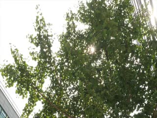 无遮挡裸光屁屁打屁股鞭子