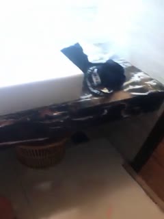国产欧美一区二区三区在线看蜜臀