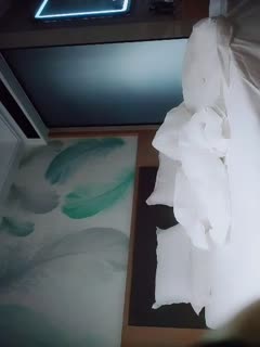 www.污