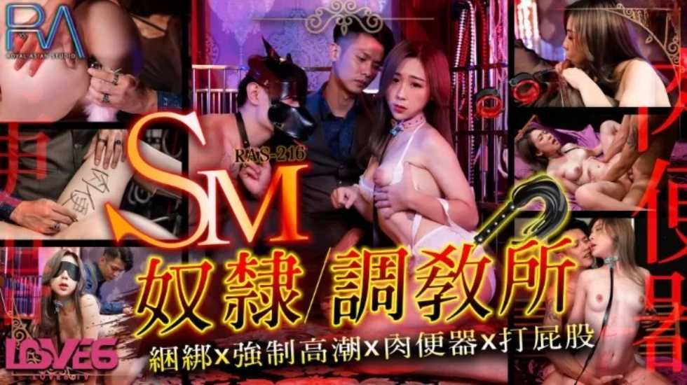 雷蒙斯尼奇的不幸历险