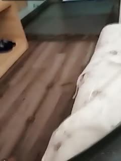 《手机》电影免费观看