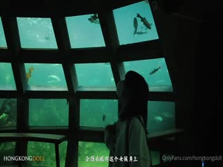 久久黄色小说视频