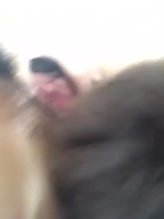 4399韩国电影
