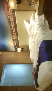 国产精品毛片大码女人