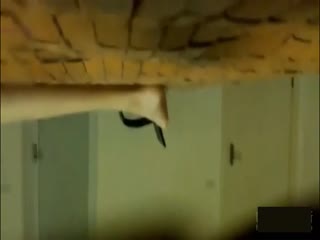 风流医生