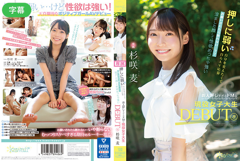 艳母1—6播放器