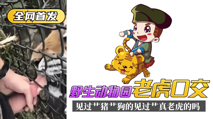 强脔人妻np文