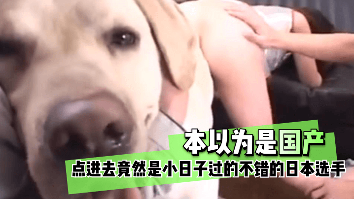 操逼的图片