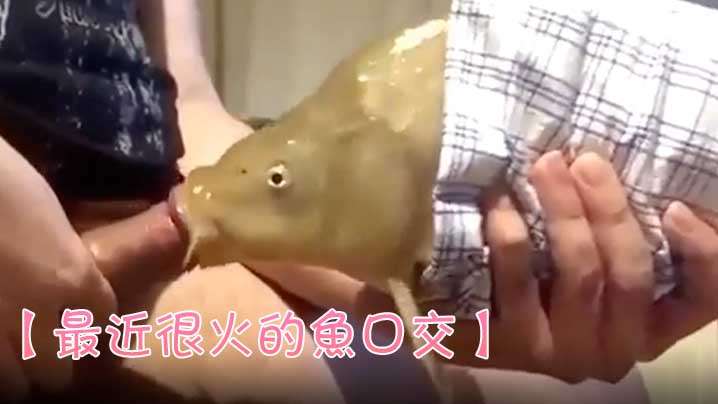 日本爆乳片在线观看