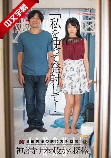 综合操逼