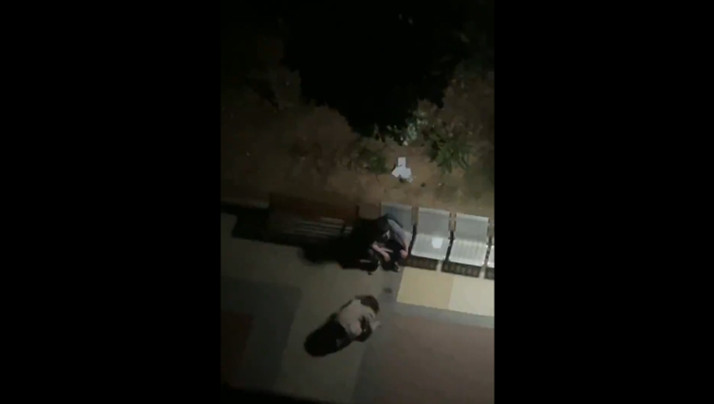 下载一个日本无码毛片视频