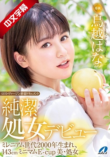 电影娼