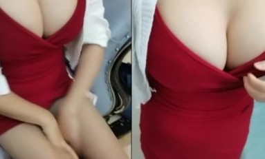 屏里狐