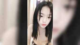 小动物头像可爱卡通