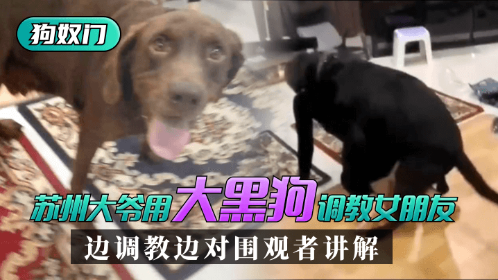 厨房人妻电影