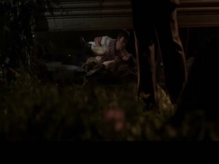 2774838电影免费观看