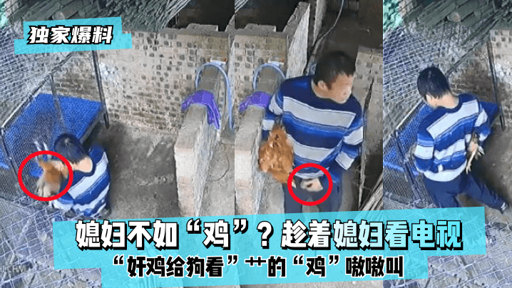 女性被弄的高潮喷尿视频