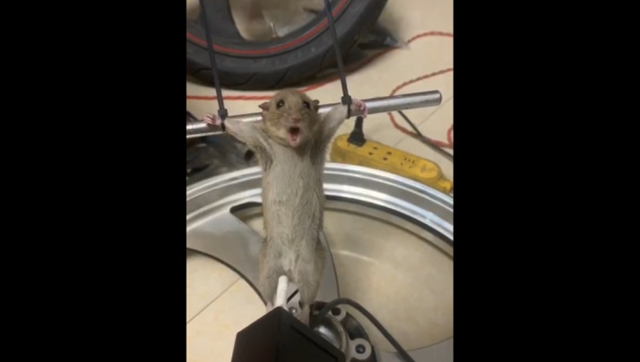 黑人猛插人妻aV电影