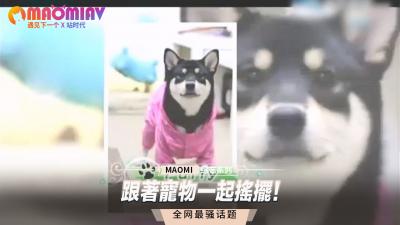 高度韩国黄色电影第一集韩国黄色电影