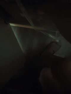 欧美高清视频免费
